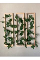 3'lü Ahşap Peri Ledli Sarmaşıklı Duvar Çıtası Kış Bahçesi Balkon Duvar Dekor Bohem Retro Çeyiz