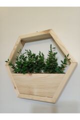 Lüks Dekoratif Ahşap Altıgen Duvar Saksısı Yapay Çiçek Dahil Taş Yosunlu Saksılık Duvar Dekorasyon