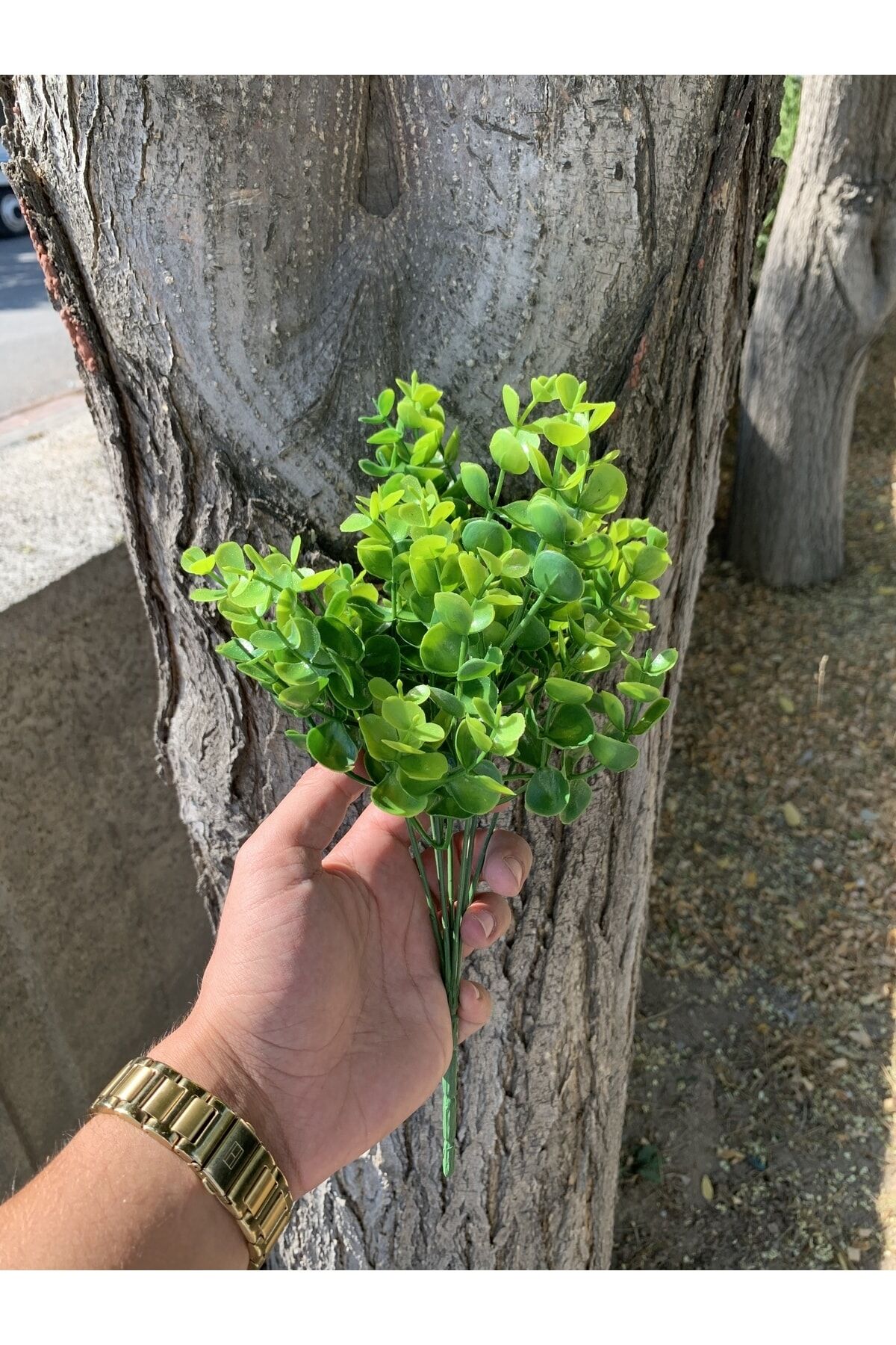 Şimşir Yapay Çiçek Yapay Şimşir Kış Bahçesi Balkon Dekor Süsleme