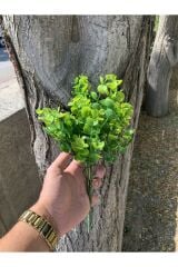 Şimşir Yapay Çiçek Yapay Şimşir Kış Bahçesi Balkon Dekor Süsleme