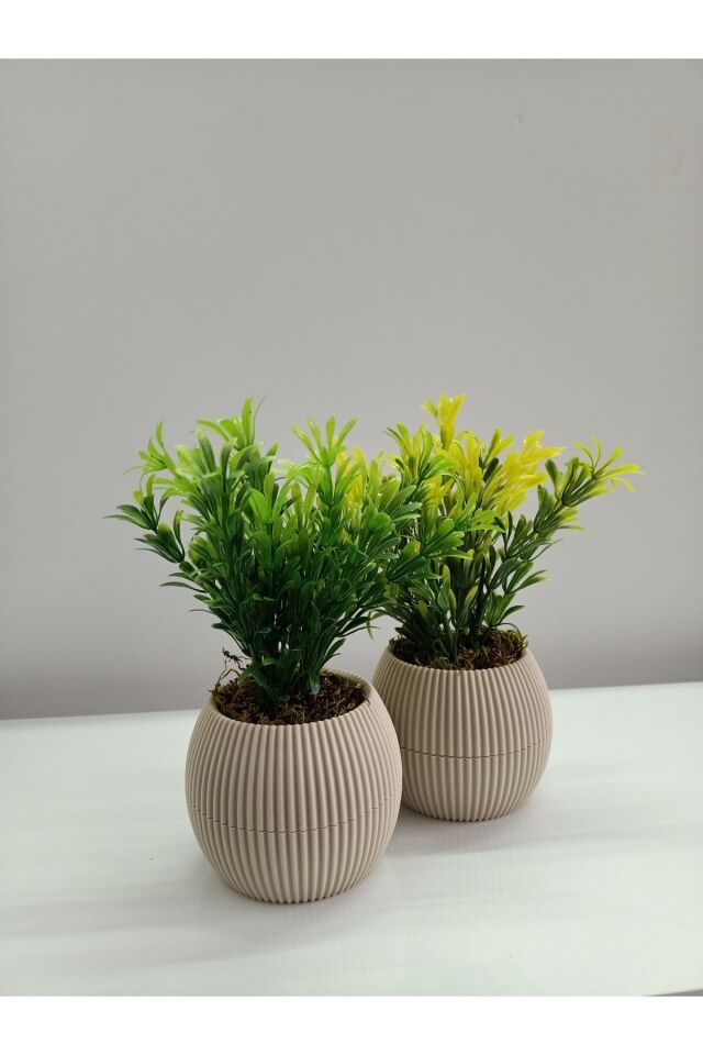  Mini Bej Saksıda 2 Li Yapay Afrika Zambağı Taş Yosunlu Dekoratif Hediyelik Mutfak Ofis Masa Çiçeği