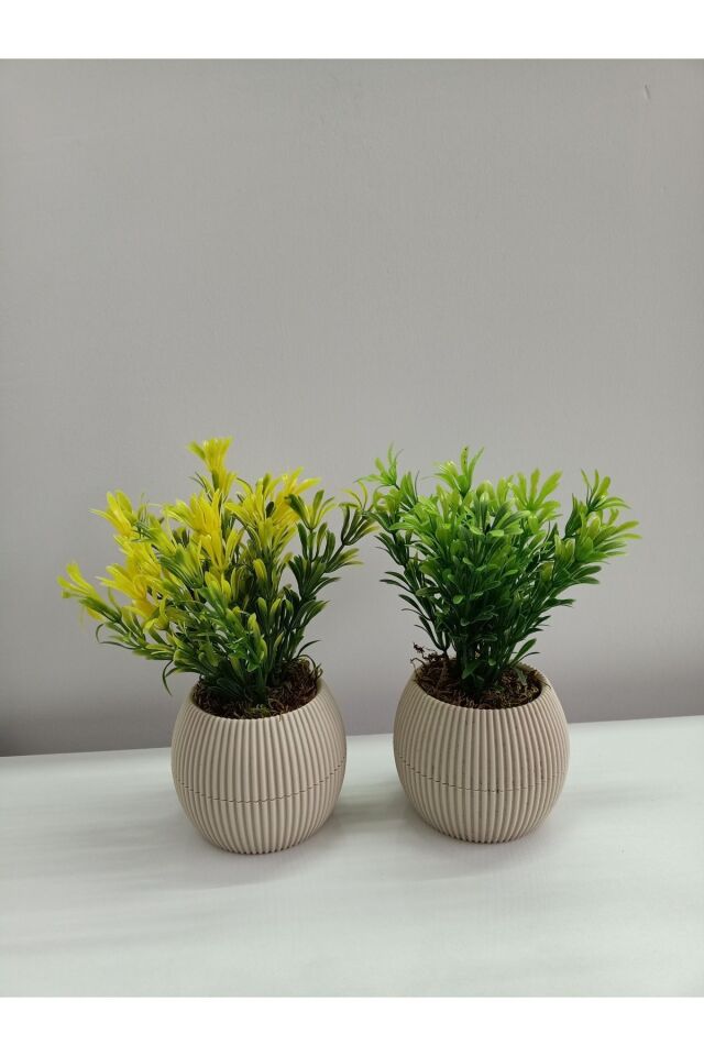  Mini Bej Saksıda 2 Li Yapay Afrika Zambağı Taş Yosunlu Dekoratif Hediyelik Mutfak Ofis Masa Çiçeği