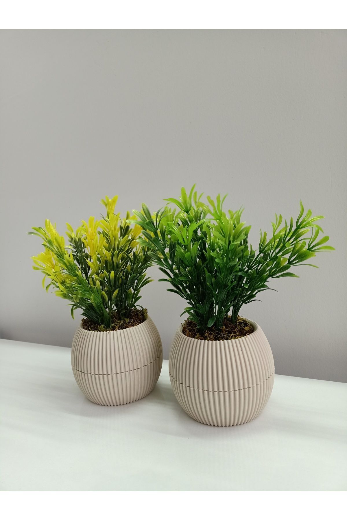  Mini Bej Saksıda 2 Li Yapay Afrika Zambağı Taş Yosunlu Dekoratif Hediyelik Mutfak Ofis Masa Çiçeği
