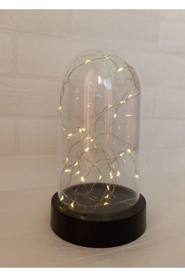 Peri Ledli Ters Mika Fanus , Teraryum Gece Lambası Hediyelik ( Piller Dahil )