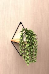 Tekli Lüks Dekoratif Duvar Rafı Doğal Masif Ahşap Balkon Rafı Tanzim Çiçeklik Saksılık