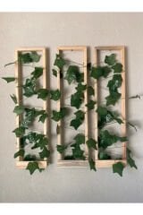 3'lü Ahşap Peri Ledli Sarmaşıklı Duvar Çıtası Kış Bahçesi Balkon Duvar Dekor Bohem Retro