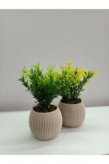 Mini Bej Saksıda 2 Li Yapay Afrika Zambağı Taş Yosunlu Dekoratif Hediyelik Mutfak Ofis Masa Çiçeği