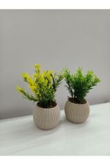 Mini Bej Saksıda 2 Li Yapay Afrika Zambağı Taş Yosunlu Dekoratif Hediyelik Mutfak Ofis Masa Çiçeği