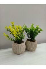 Mini Bej Saksıda 2 Li Yapay Afrika Zambağı Taş Yosunlu Dekoratif Hediyelik Mutfak Ofis Masa Çiçeği