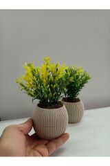 Mini Bej Saksıda 2 Li Yapay Afrika Zambağı Taş Yosunlu Dekoratif Hediyelik Mutfak Ofis Masa Çiçeği