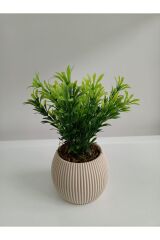 Mini Bej Saksıda 2 Li Yapay Afrika Zambağı Taş Yosunlu Dekoratif Hediyelik Mutfak Ofis Masa Çiçeği