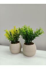 Mini Bej Saksıda 2 Li Yapay Afrika Zambağı Taş Yosunlu Dekoratif Hediyelik Mutfak Ofis Masa Çiçeği