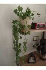 Sarkan Hadera Sarmaşık 9 Dal Dekoratif Yeşil Yapraklı Yapay Salkım Sarmaşık Ev Dekoru