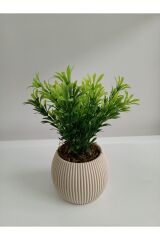 Mini Bej Saksıda Yapay Afrika Zambağı Taş Yosunlu Dekoratif Hediyelik Mutfak Ofis Masa Çiçeği