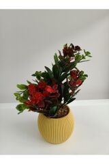 Mini Saksıda Taş Yosunlu Yapay Çiçek Aranjman Dekoratif Hediyelik Mutfak Ofis Masa Çiçeği