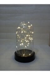 Peri Ledli Ters Mika Fanus , Teraryum Gece Lambası Hediyelik ( Piller Dahil )