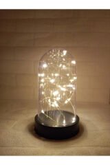 Peri Ledli Ters Mika Fanus , Teraryum Gece Lambası Hediyelik ( Piller Dahil )